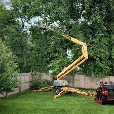 Trusted Eagle Lake, TX Tree Removal and Landscaping Services Experts